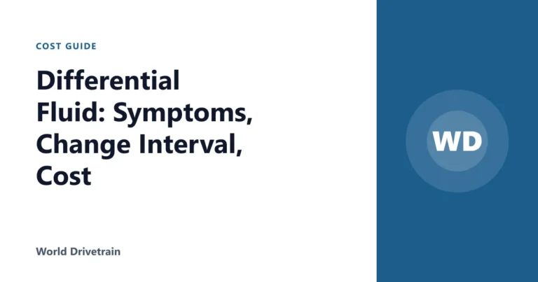 Differential Fluid: Symptoms, Change Interval, Cost