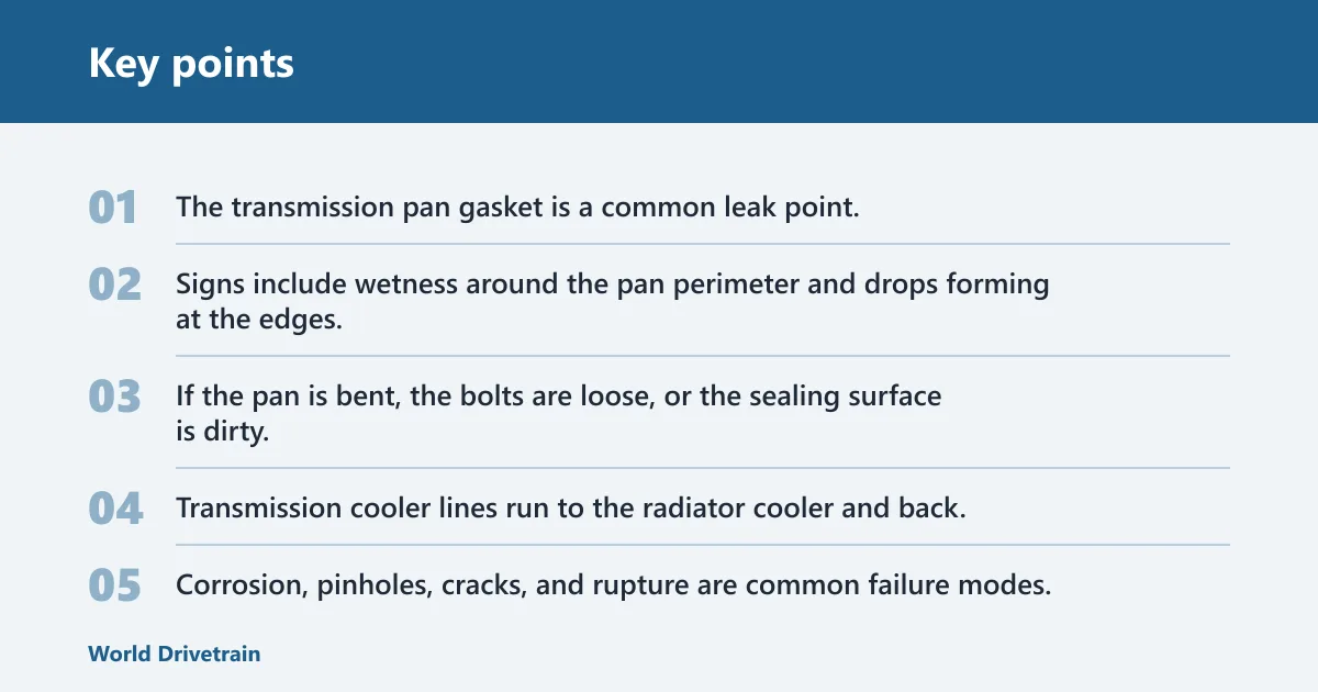 Key points: Where the fluid is coming from